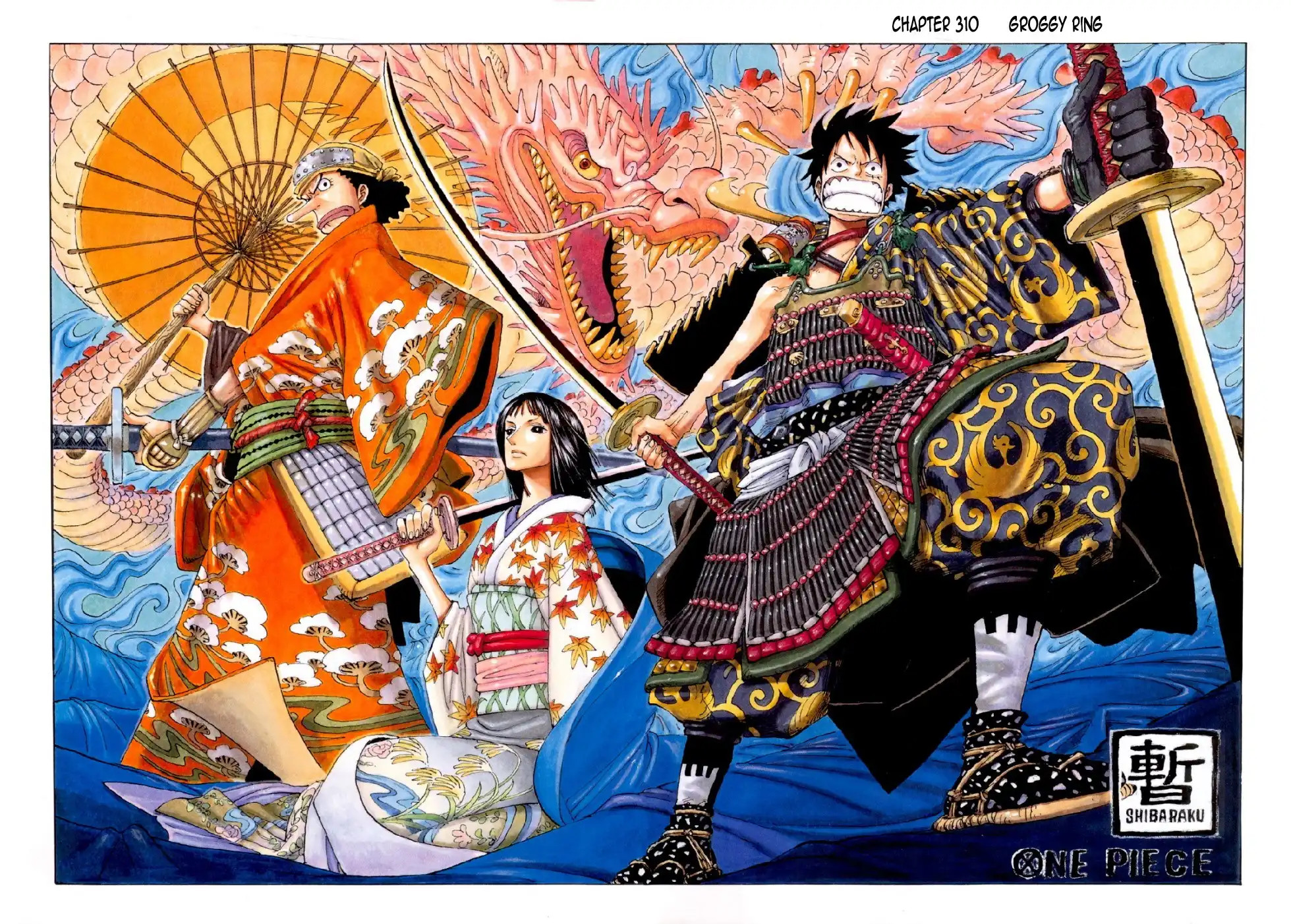 One Piece - Digital Colored Comics Chapter 310 2